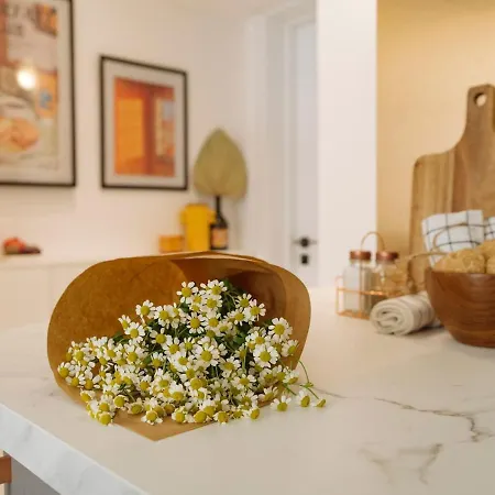 Closer To The Sun - Warm Appartement