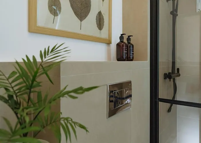 Closer To The Sun - Warm Bukurešť